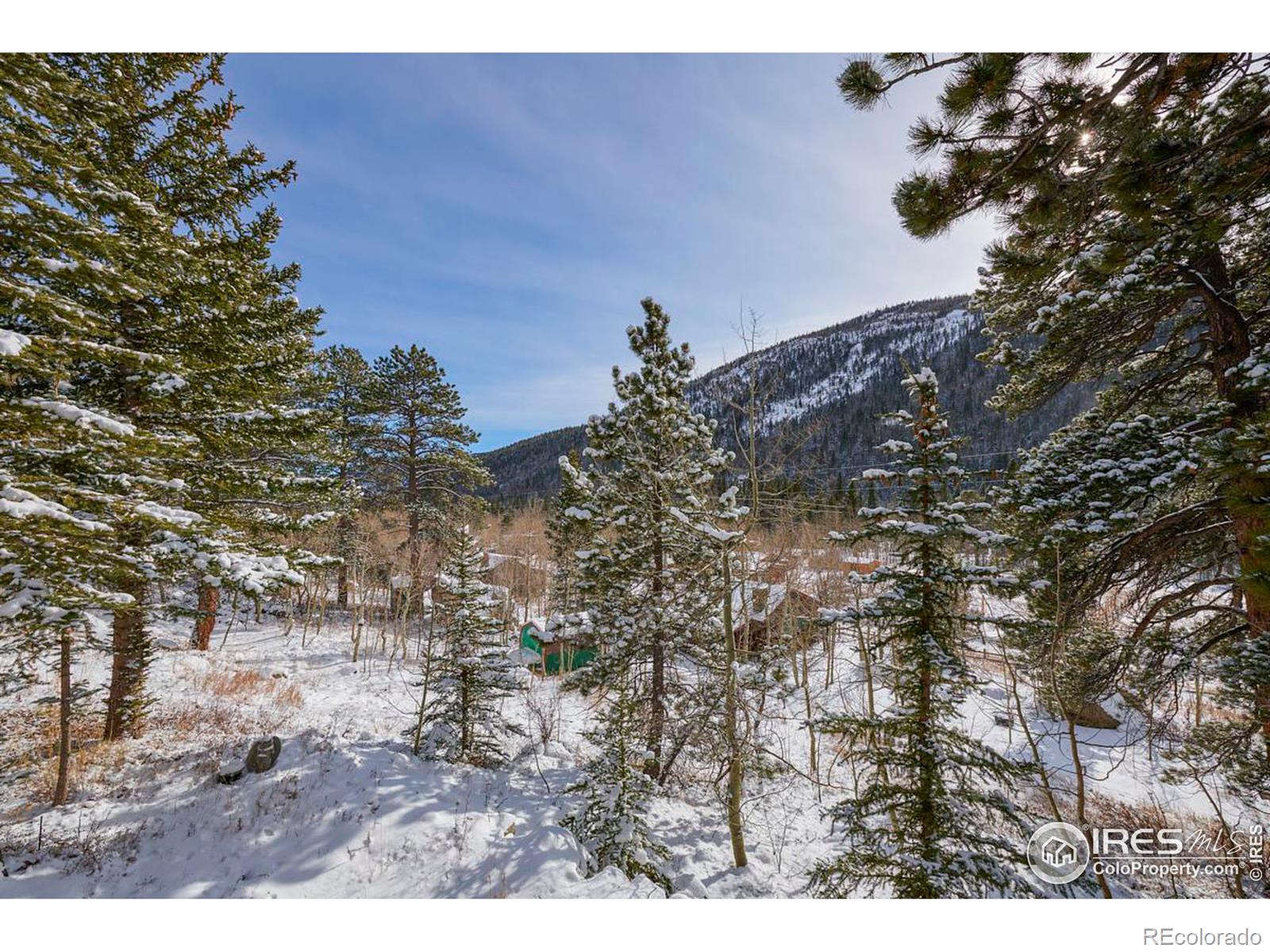 MLS Image #25 for 949  klondyke avenue,nederland, Colorado