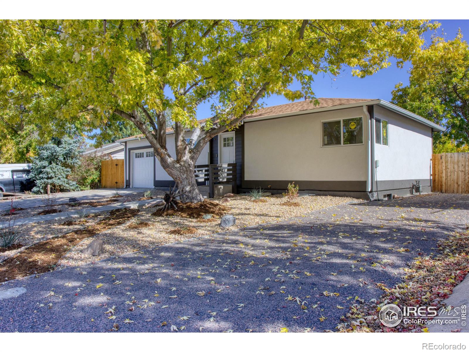 MLS Image #3 for 718 s del norte avenue,loveland, Colorado