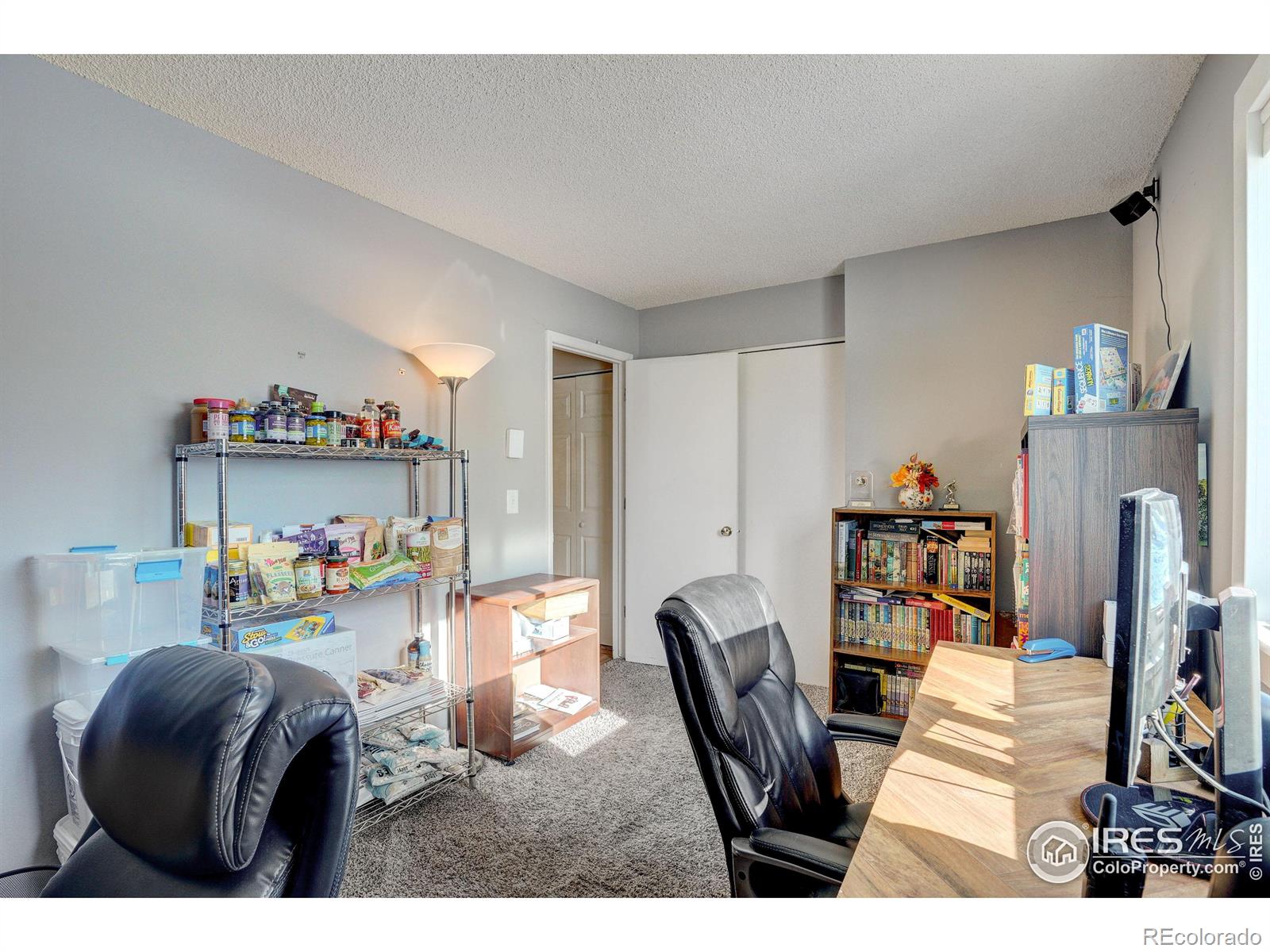 MLS Image #16 for 2355  alexis street,loveland, Colorado