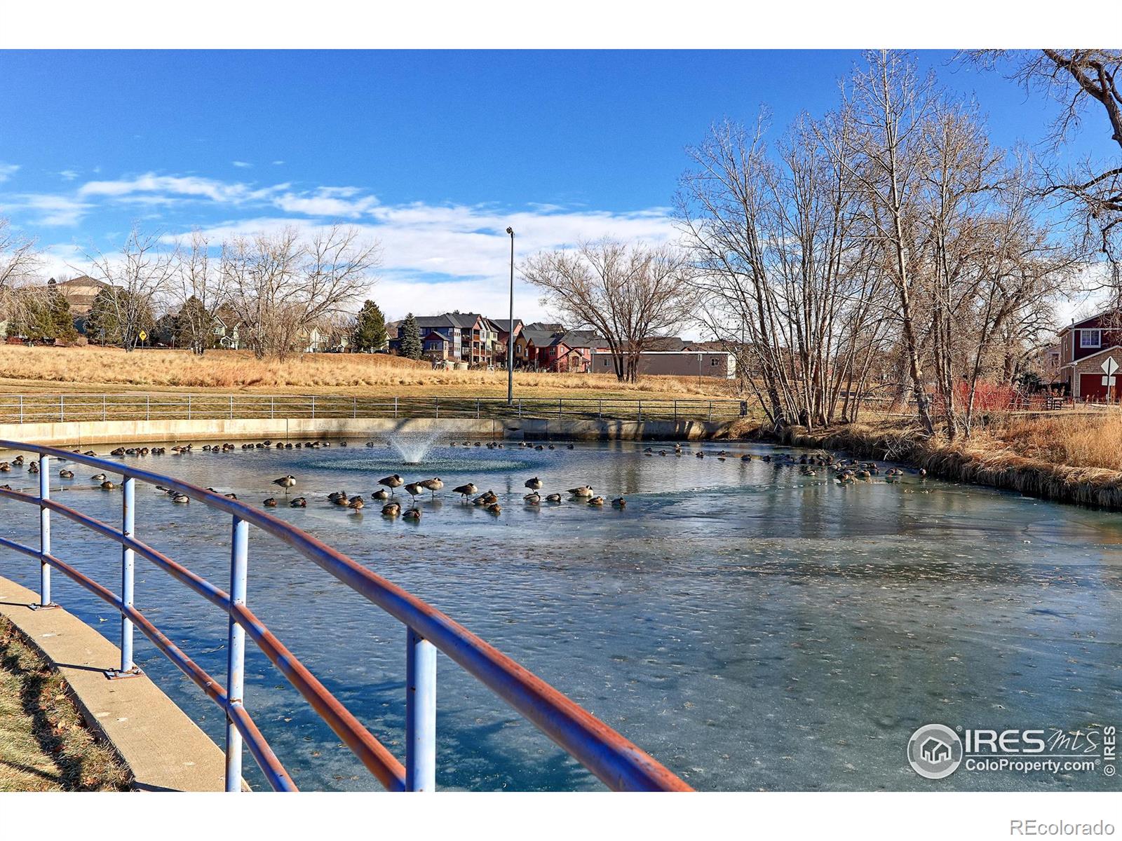 MLS Image #20 for 2939 w 81st avenue,westminster, Colorado