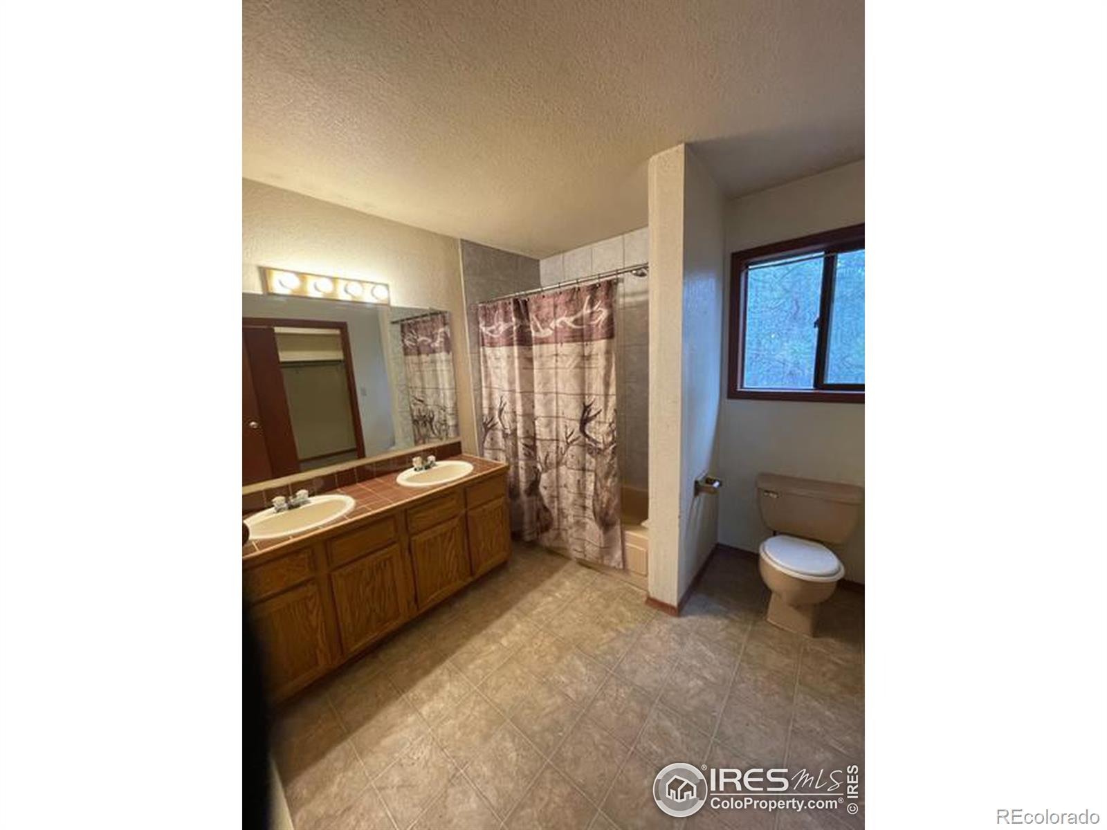 MLS Image #22 for 720 w henrietta avenue,woodland park, Colorado