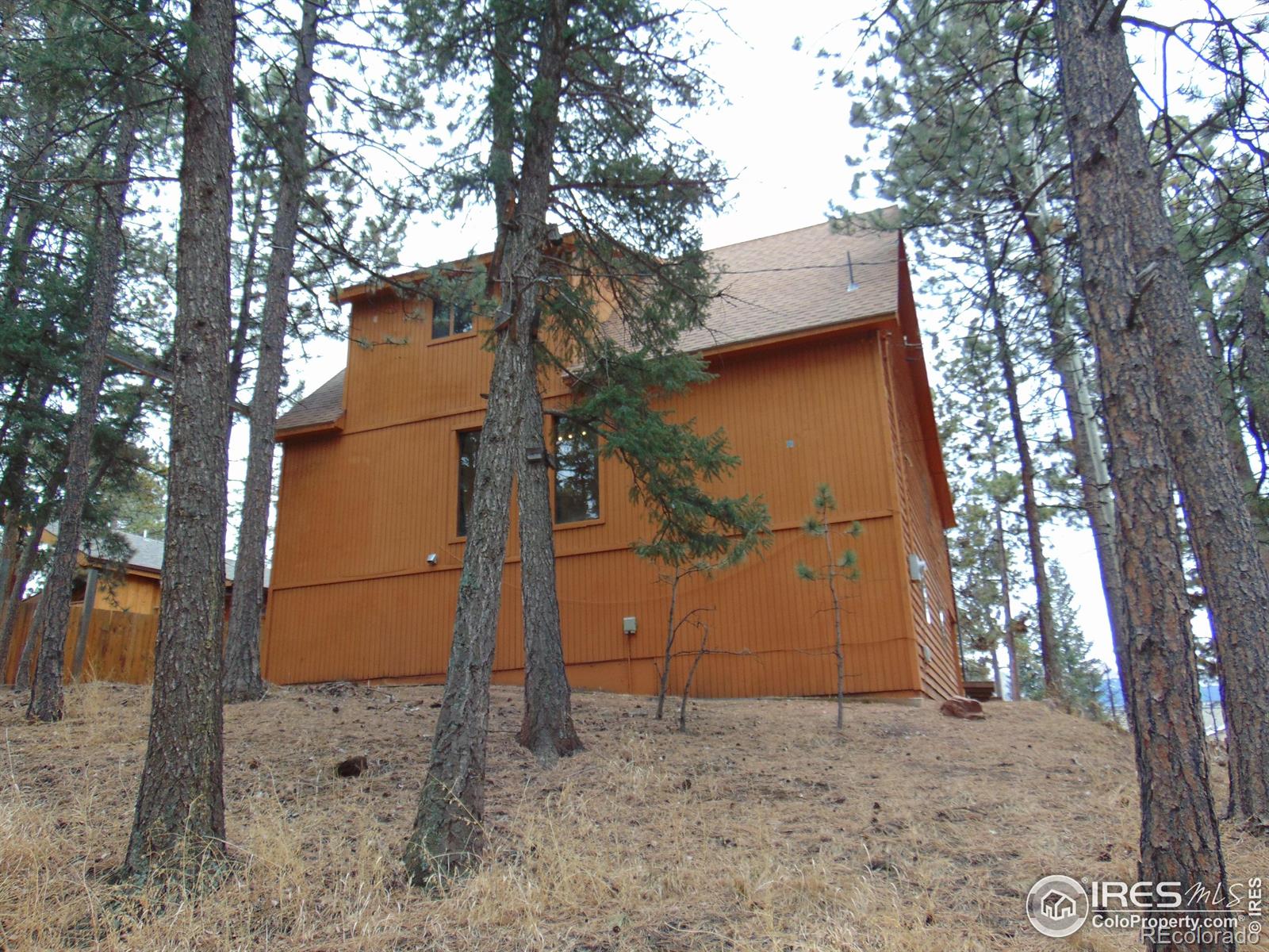 MLS Image #4 for 720 w henrietta avenue,woodland park, Colorado