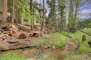 MLS Image #0 for 900  witter gulch road,evergreen, Colorado