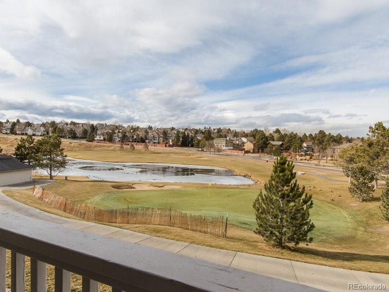 MLS Image #1 for 9323  notts court,lone tree, Colorado