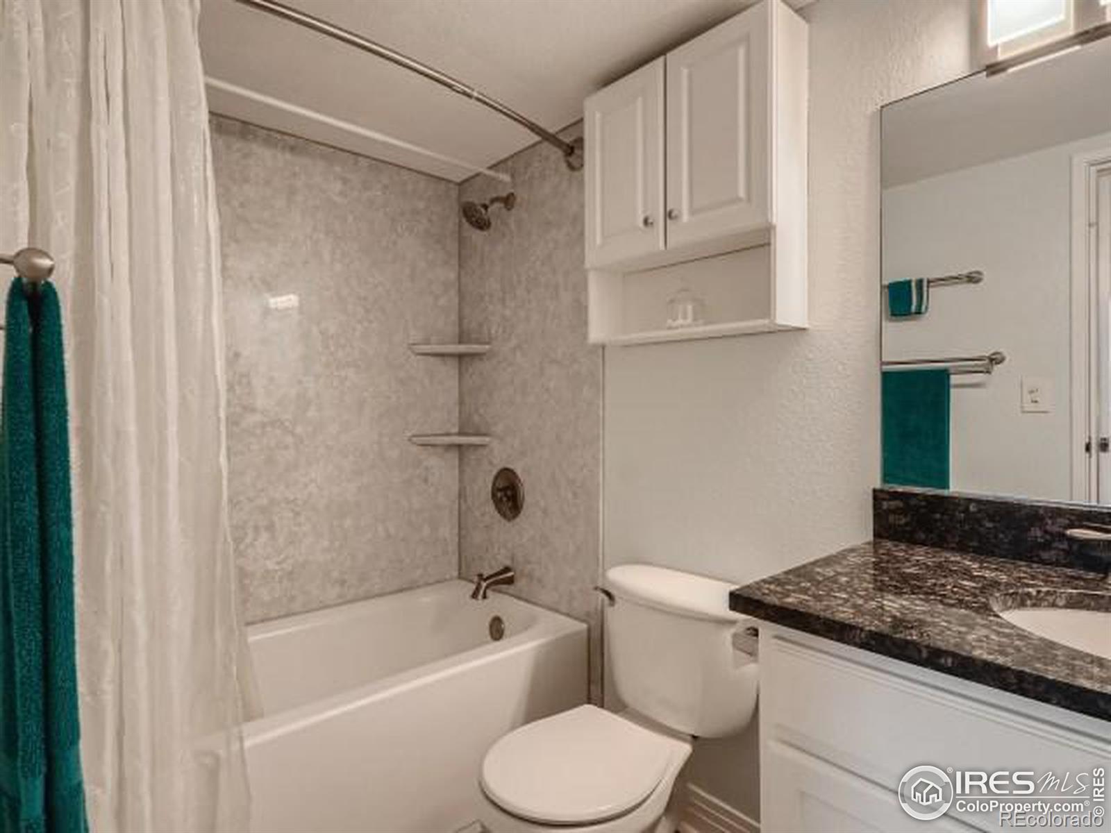 MLS Image #16 for 601 w 11th avenue,denver, Colorado