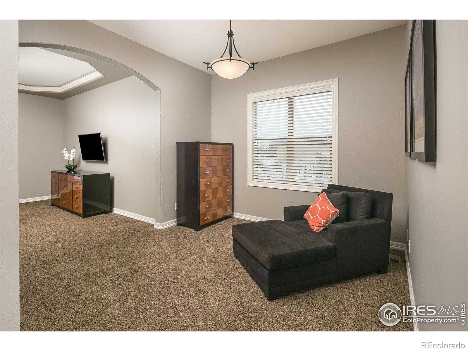 MLS Image #15 for 37094  soaring eagle circle,severance, Colorado