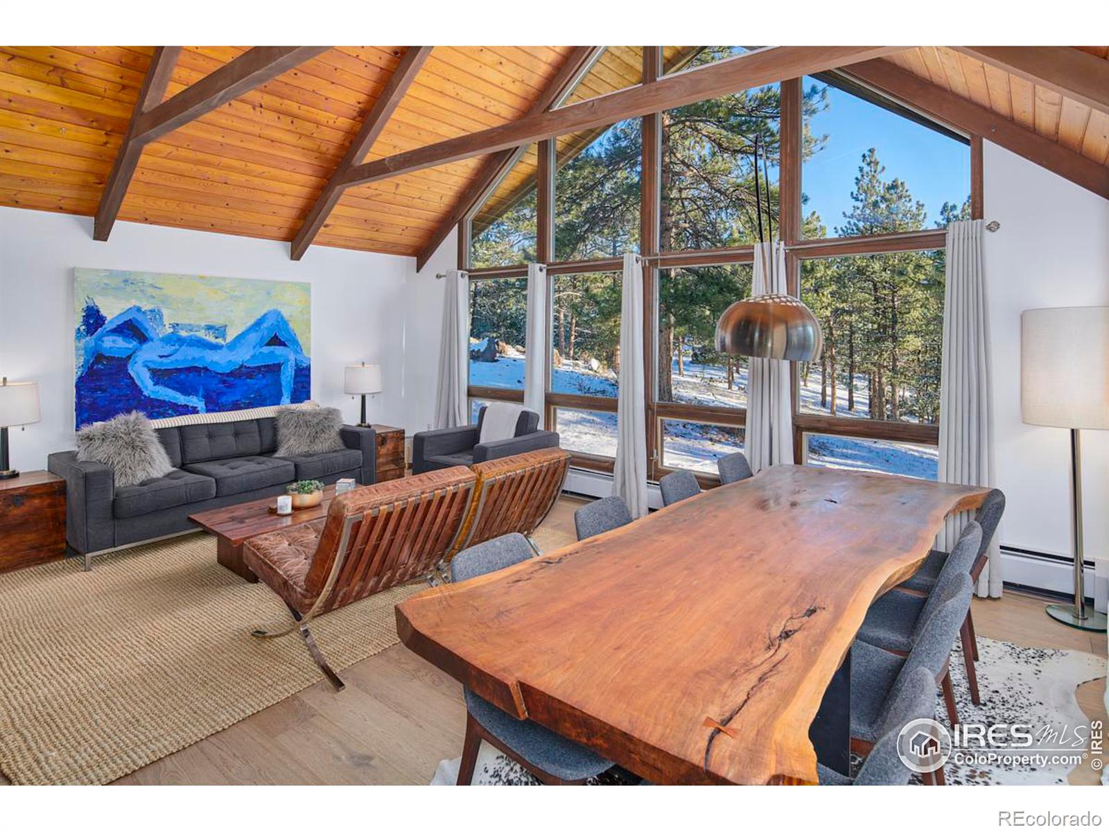 MLS Image #6 for 9  canyon view road,boulder, Colorado