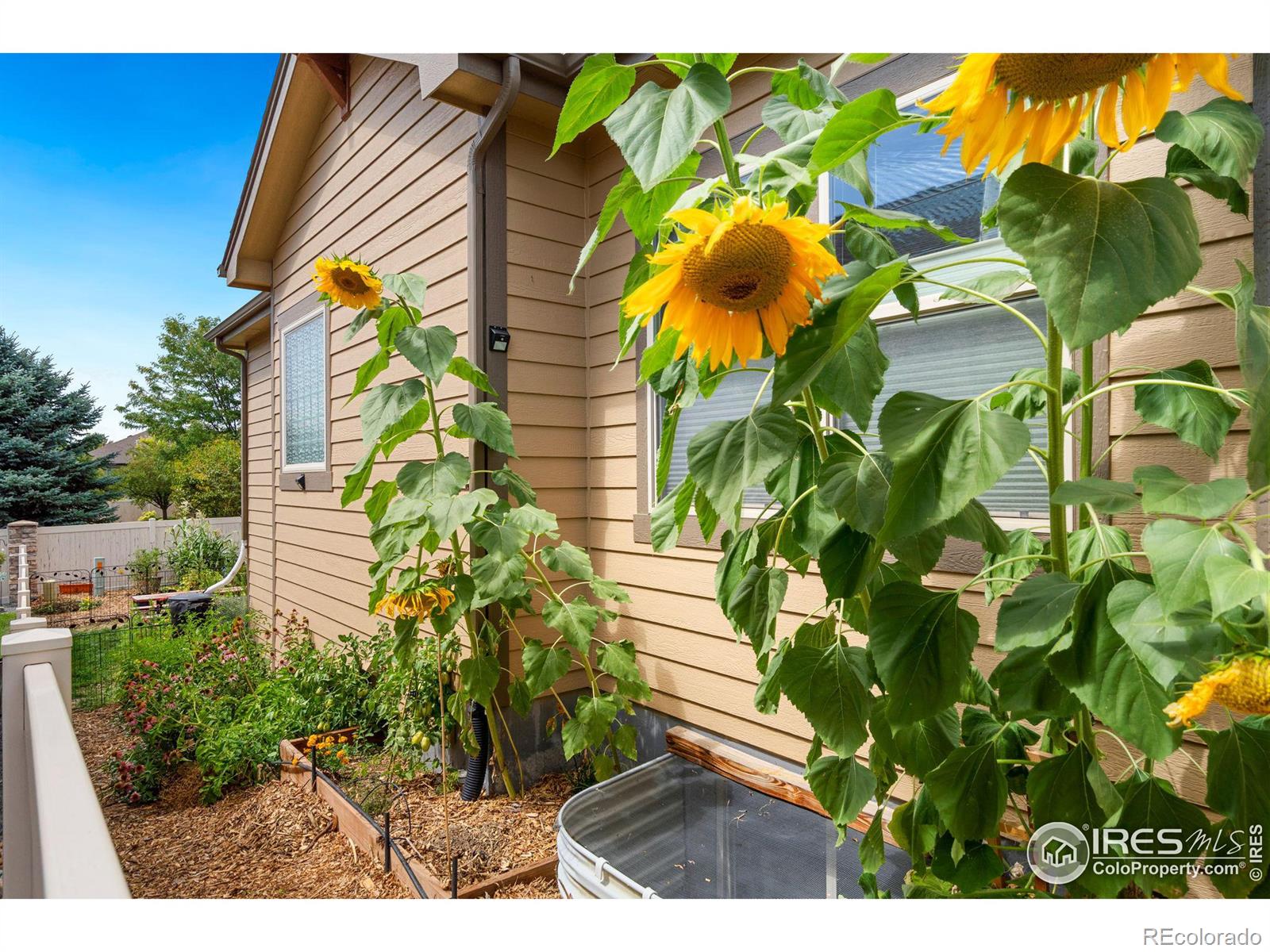 MLS Image #35 for 5265  brandywine drive,loveland, Colorado