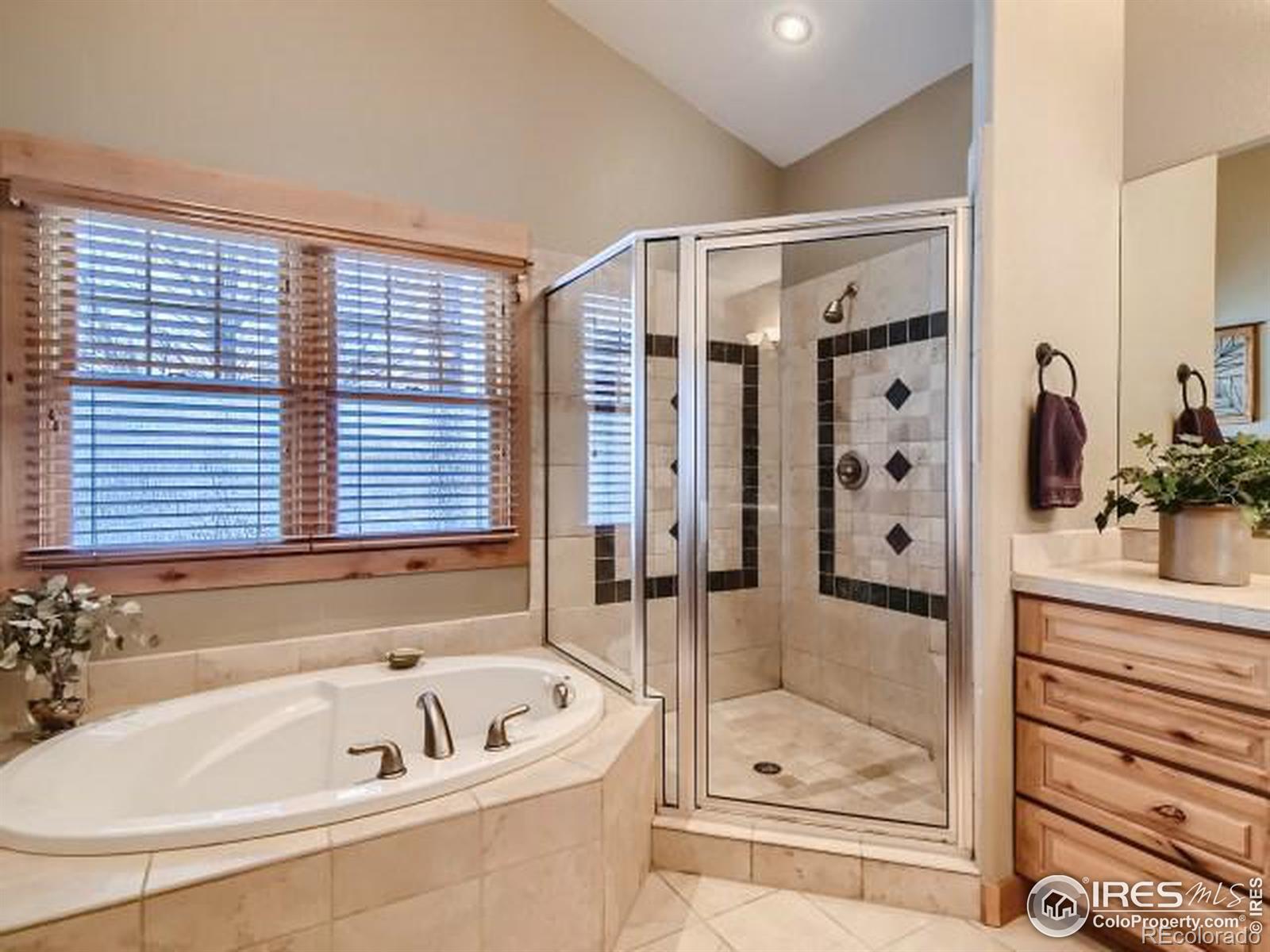 MLS Image #18 for 921  wilshire drive,berthoud, Colorado