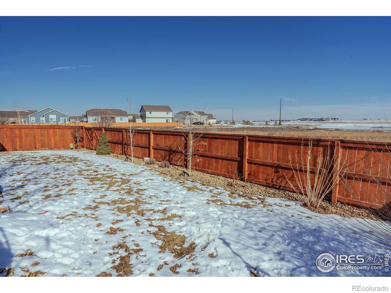 MLS Image #32 for 1814  avery plaza street,severance, Colorado