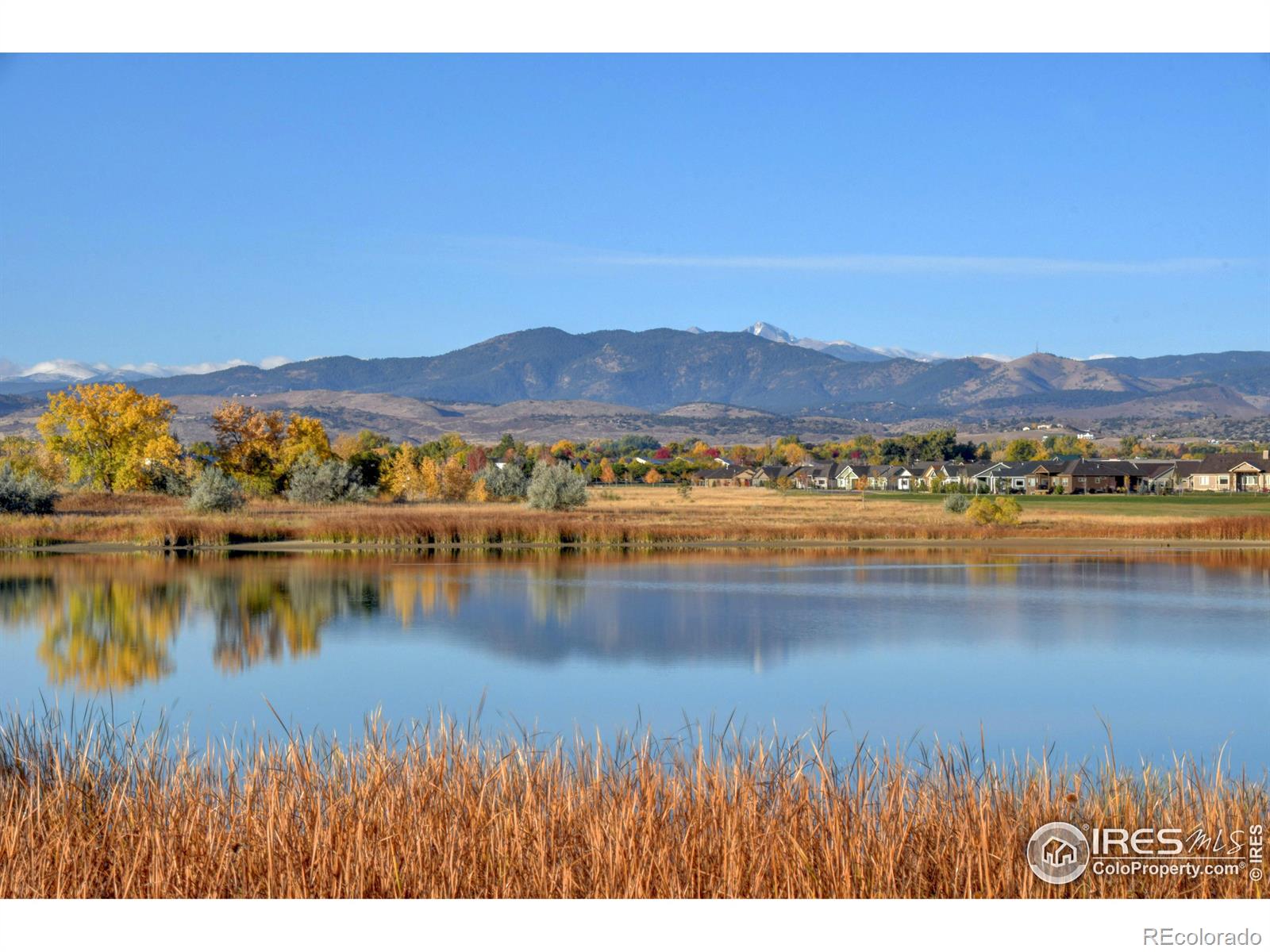 Report Image for 1191  Blue Agave Court,Loveland, Colorado