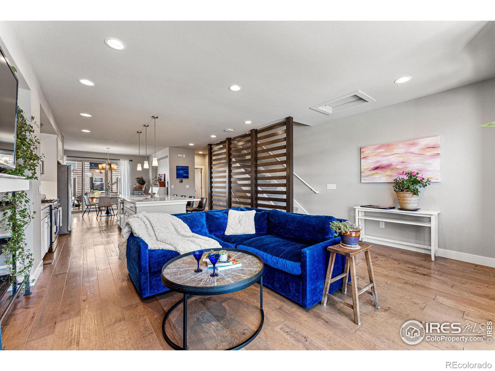 MLS Image #5 for 88  oneida court,denver, Colorado