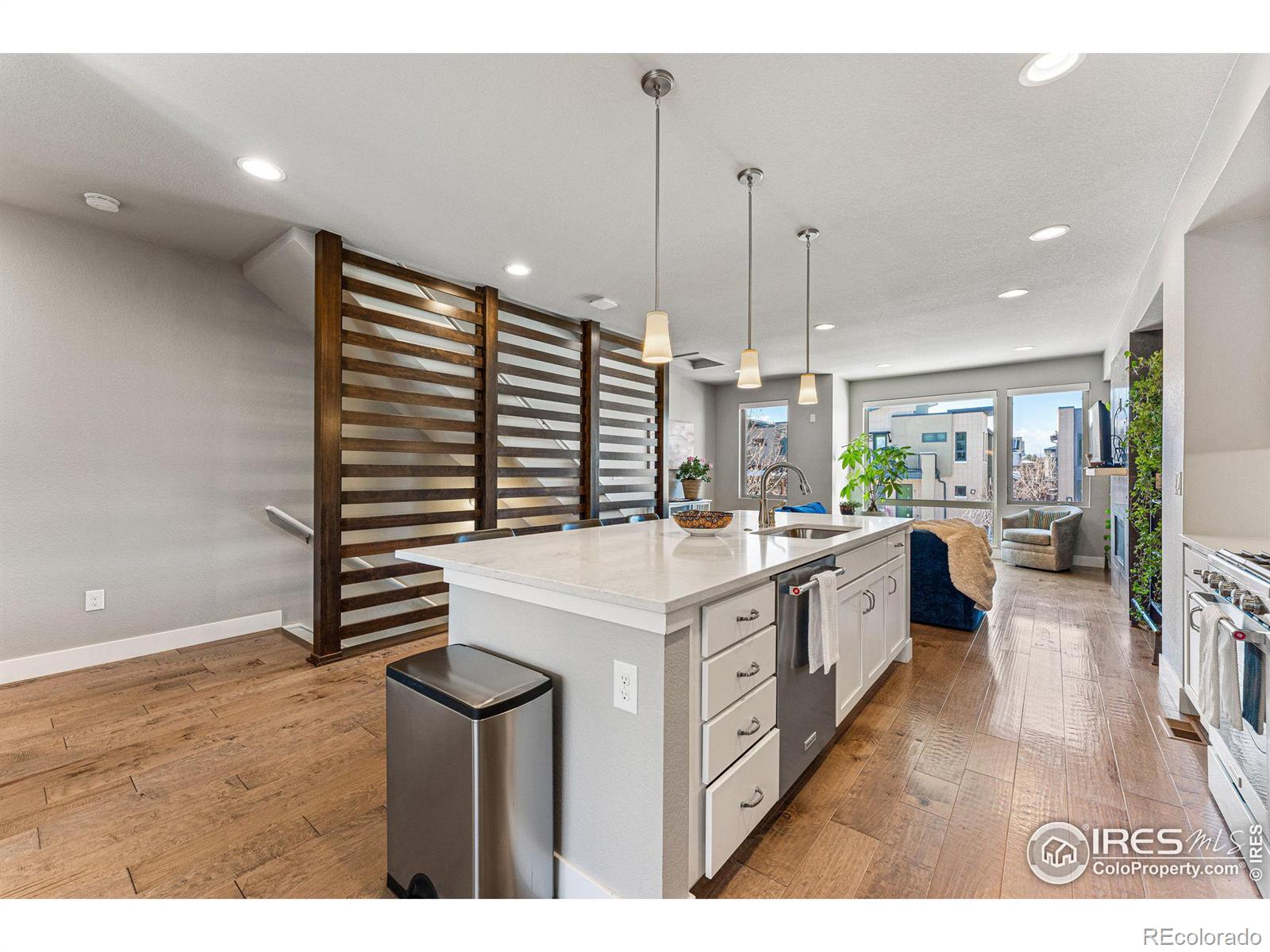 MLS Image #8 for 88  oneida court,denver, Colorado