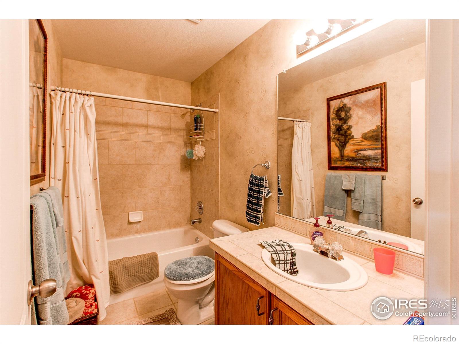 MLS Image #29 for 9890 e 112th drive,commerce city, Colorado