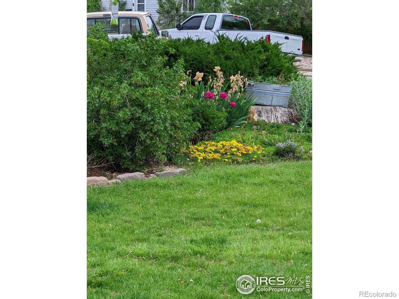 MLS Image #17 for 420  7th street,greeley, Colorado