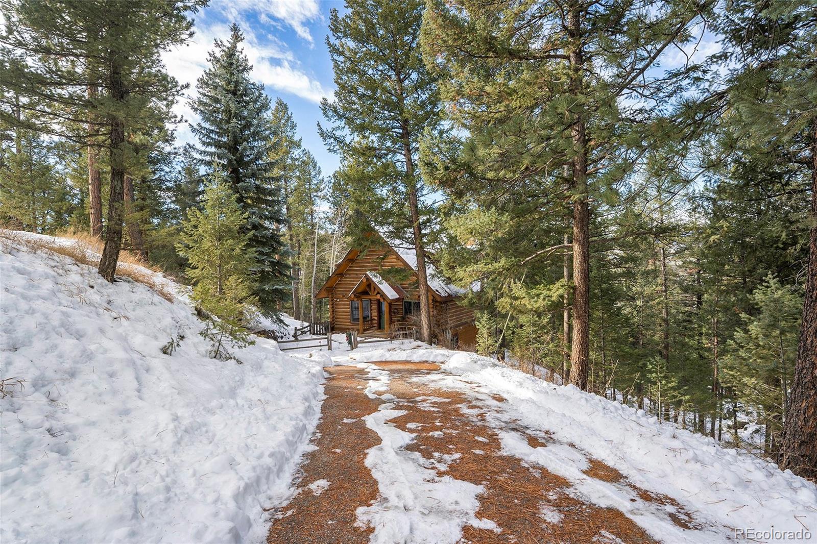 MLS Image #1 for 4691  trinchera trail,evergreen, Colorado