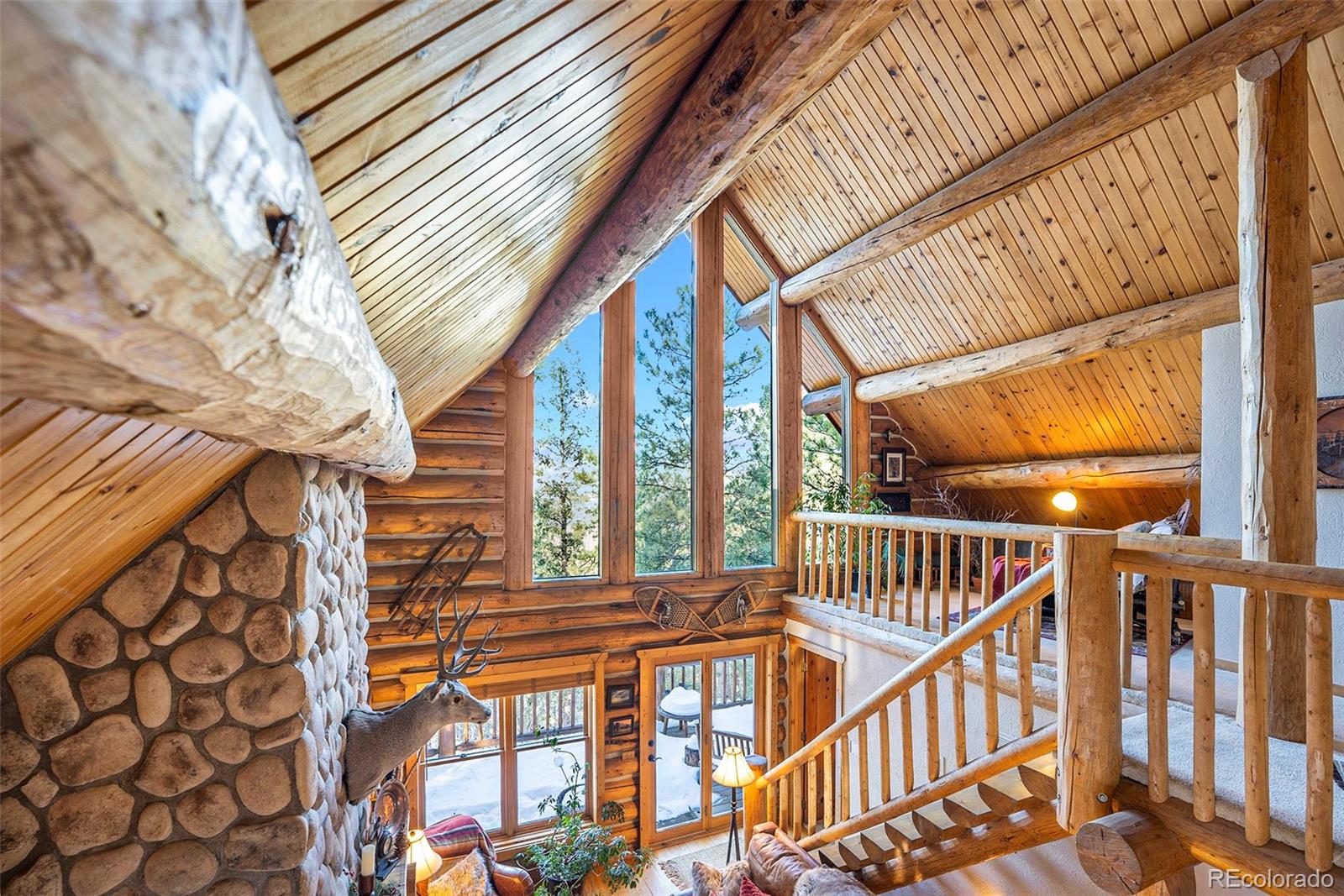 MLS Image #10 for 4691  trinchera trail,evergreen, Colorado