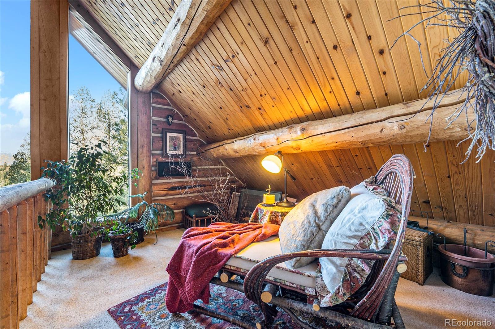 MLS Image #11 for 4691  trinchera trail,evergreen, Colorado