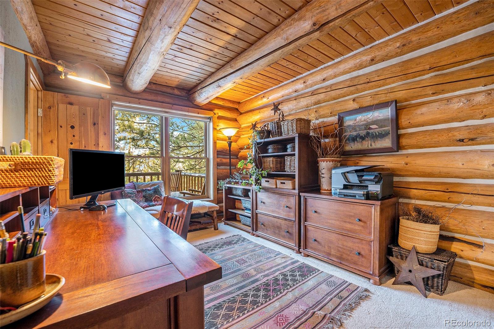 MLS Image #12 for 4691  trinchera trail,evergreen, Colorado