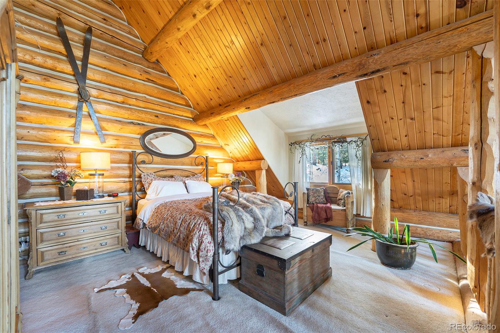 MLS Image #13 for 4691  trinchera trail,evergreen, Colorado