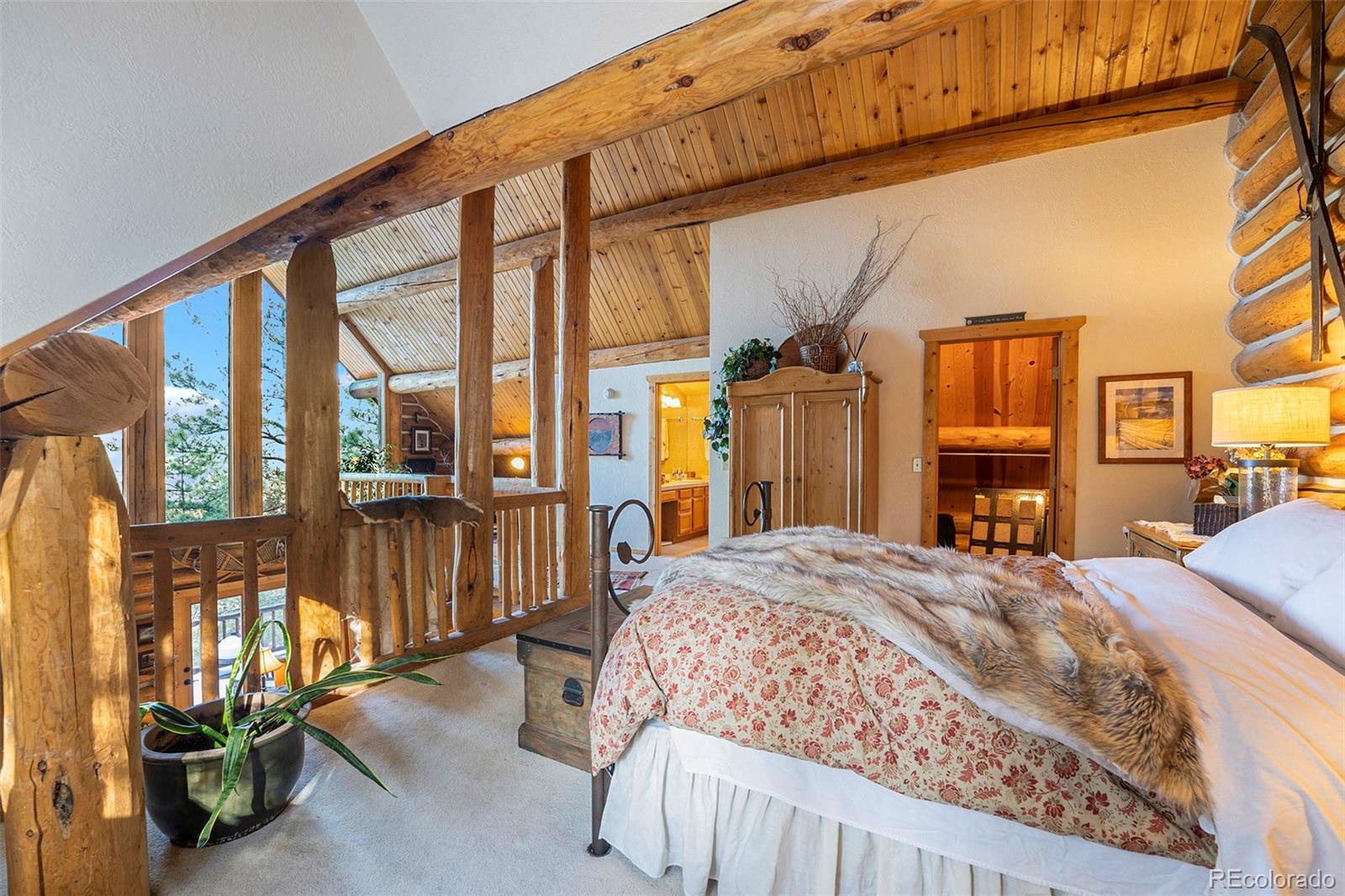 MLS Image #14 for 4691  trinchera trail,evergreen, Colorado