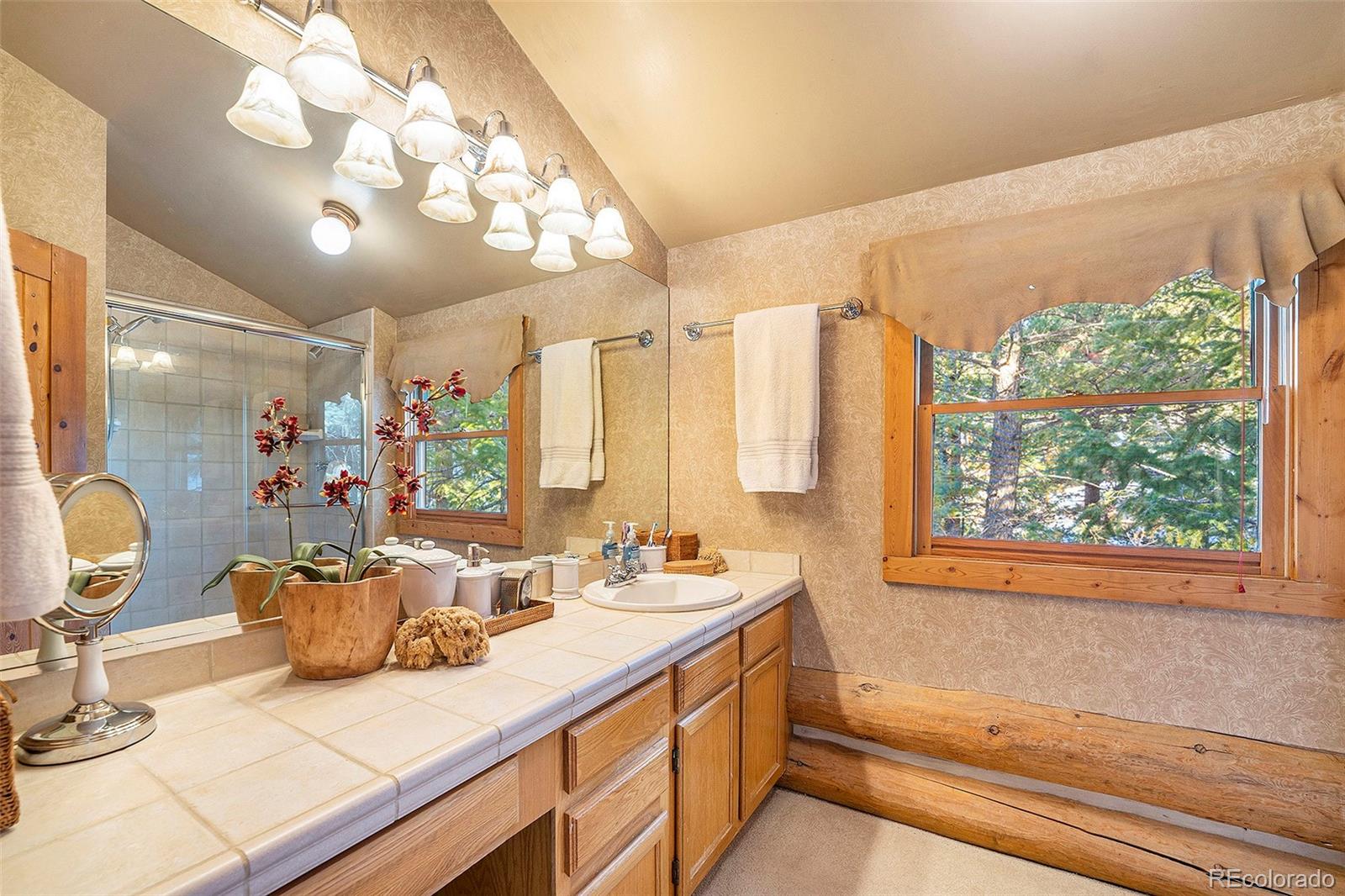 MLS Image #15 for 4691  trinchera trail,evergreen, Colorado
