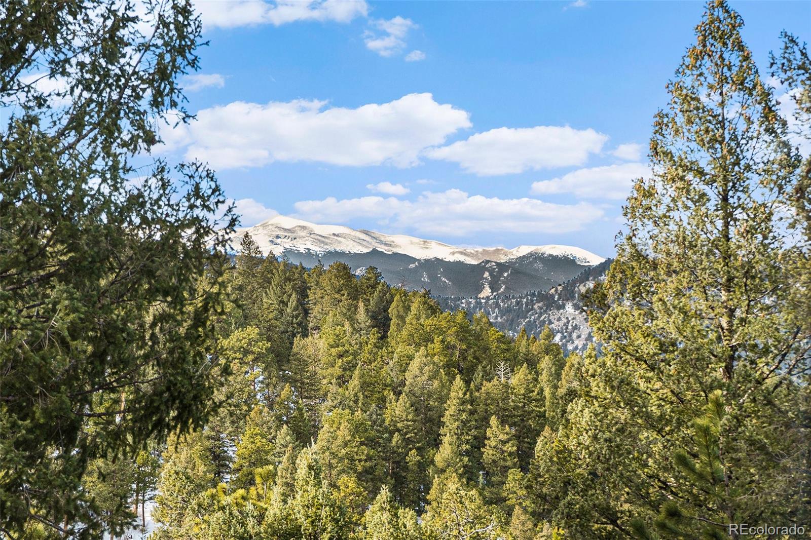 MLS Image #24 for 4691  trinchera trail,evergreen, Colorado