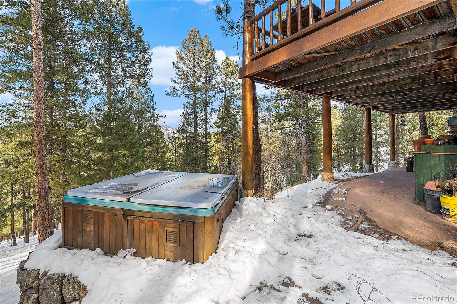 MLS Image #25 for 4691  trinchera trail,evergreen, Colorado