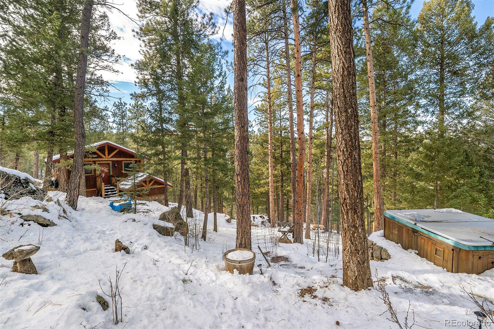 MLS Image #27 for 4691  trinchera trail,evergreen, Colorado