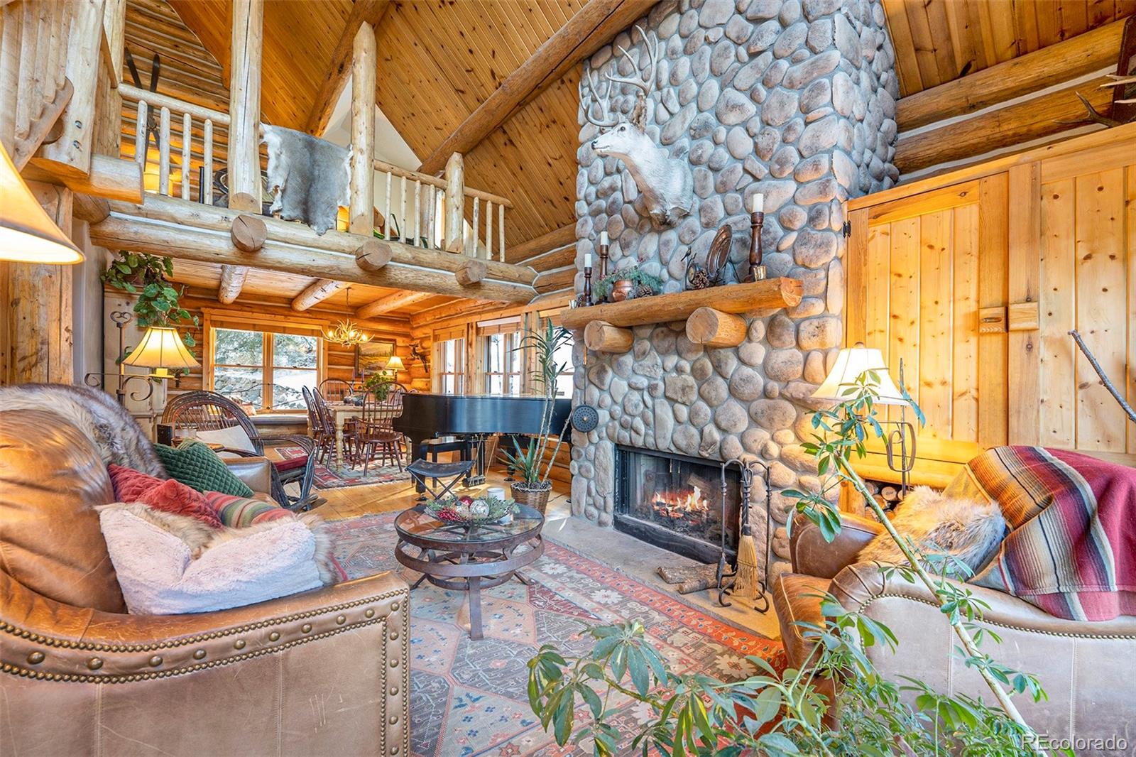 MLS Image #5 for 4691  trinchera trail,evergreen, Colorado