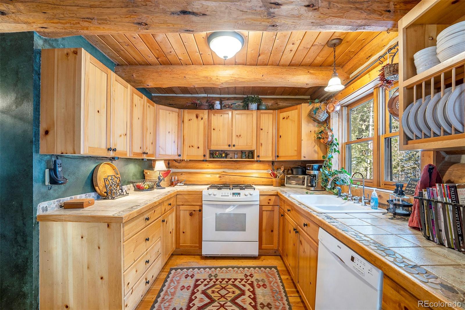 MLS Image #7 for 4691  trinchera trail,evergreen, Colorado