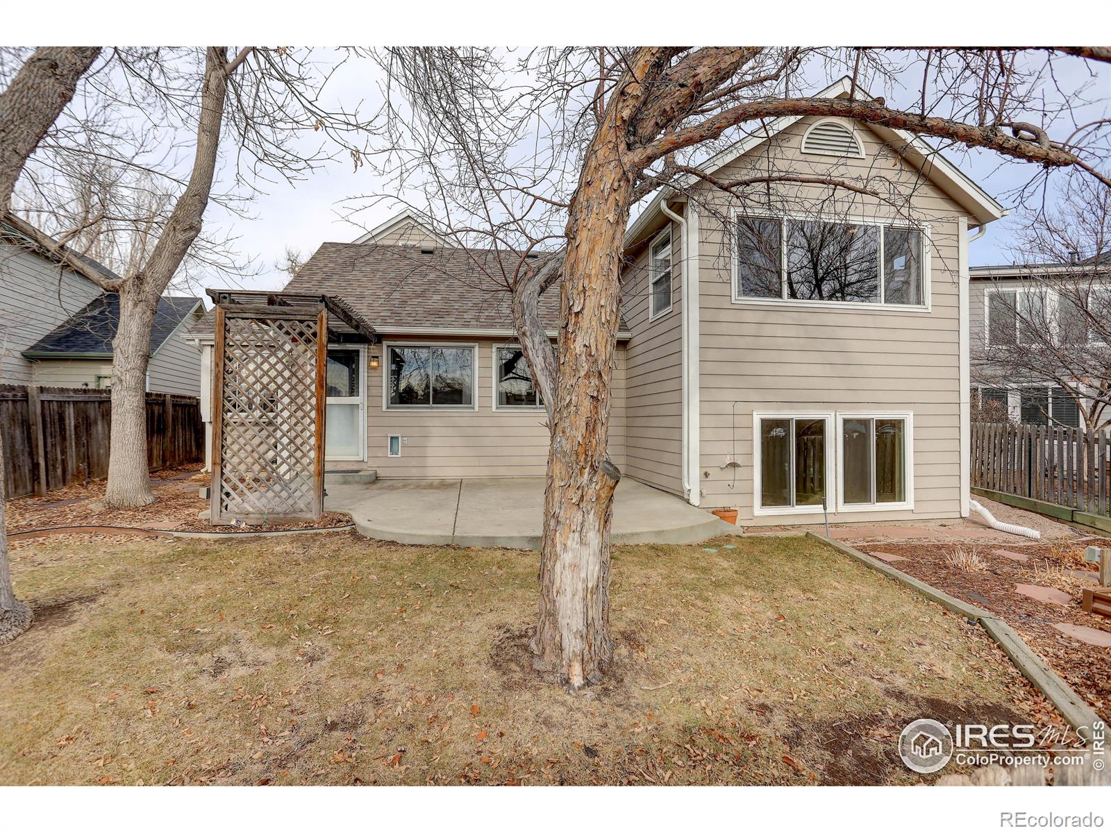 MLS Image #38 for 1973  massachusetts street,fort collins, Colorado