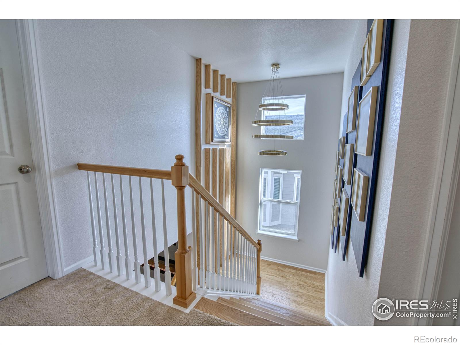 MLS Image #24 for 4731  lakeside drive,longmont, Colorado