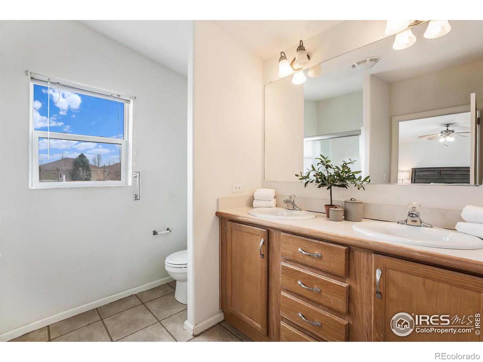 MLS Image #14 for 940  vitala drive,fort collins, Colorado