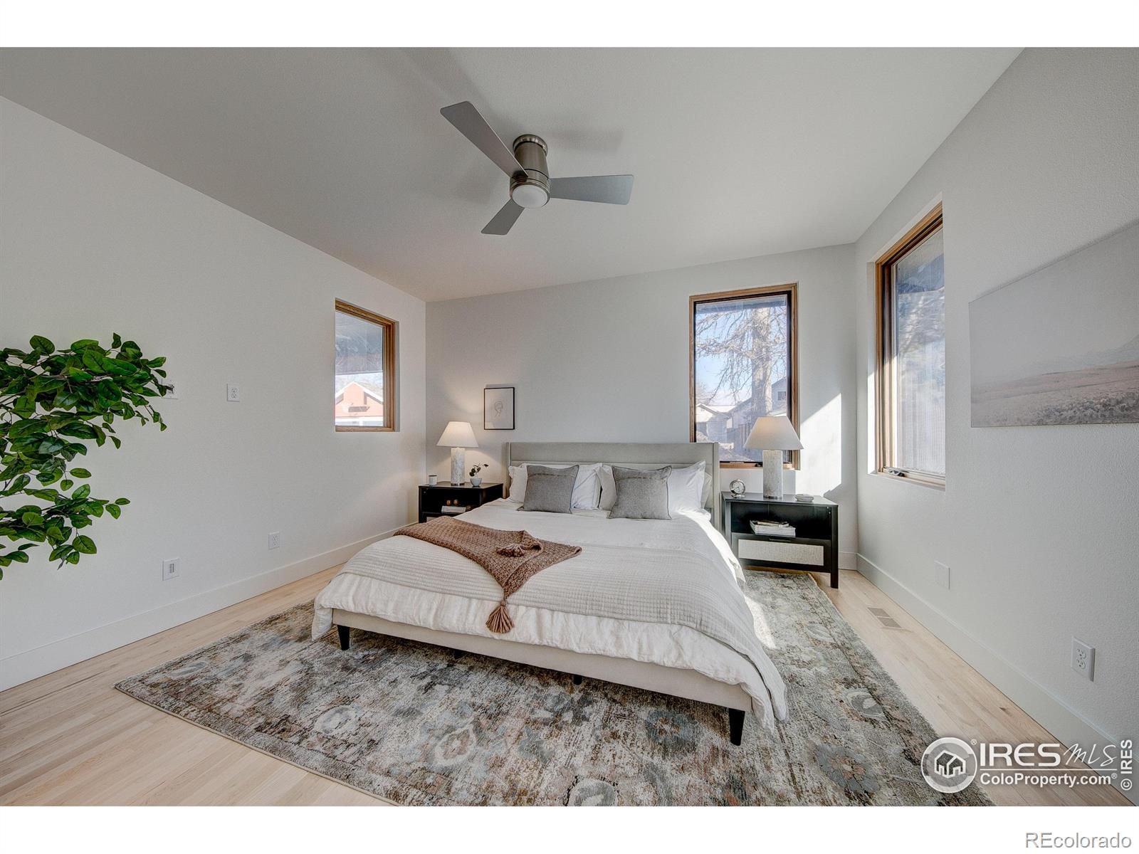 MLS Image #16 for 330 e myrtle street,fort collins, Colorado