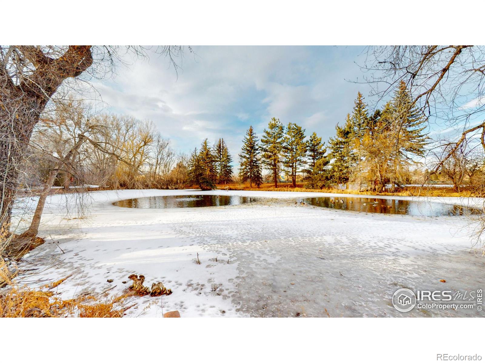 MLS Image #34 for 1907  waters edge street,fort collins, Colorado