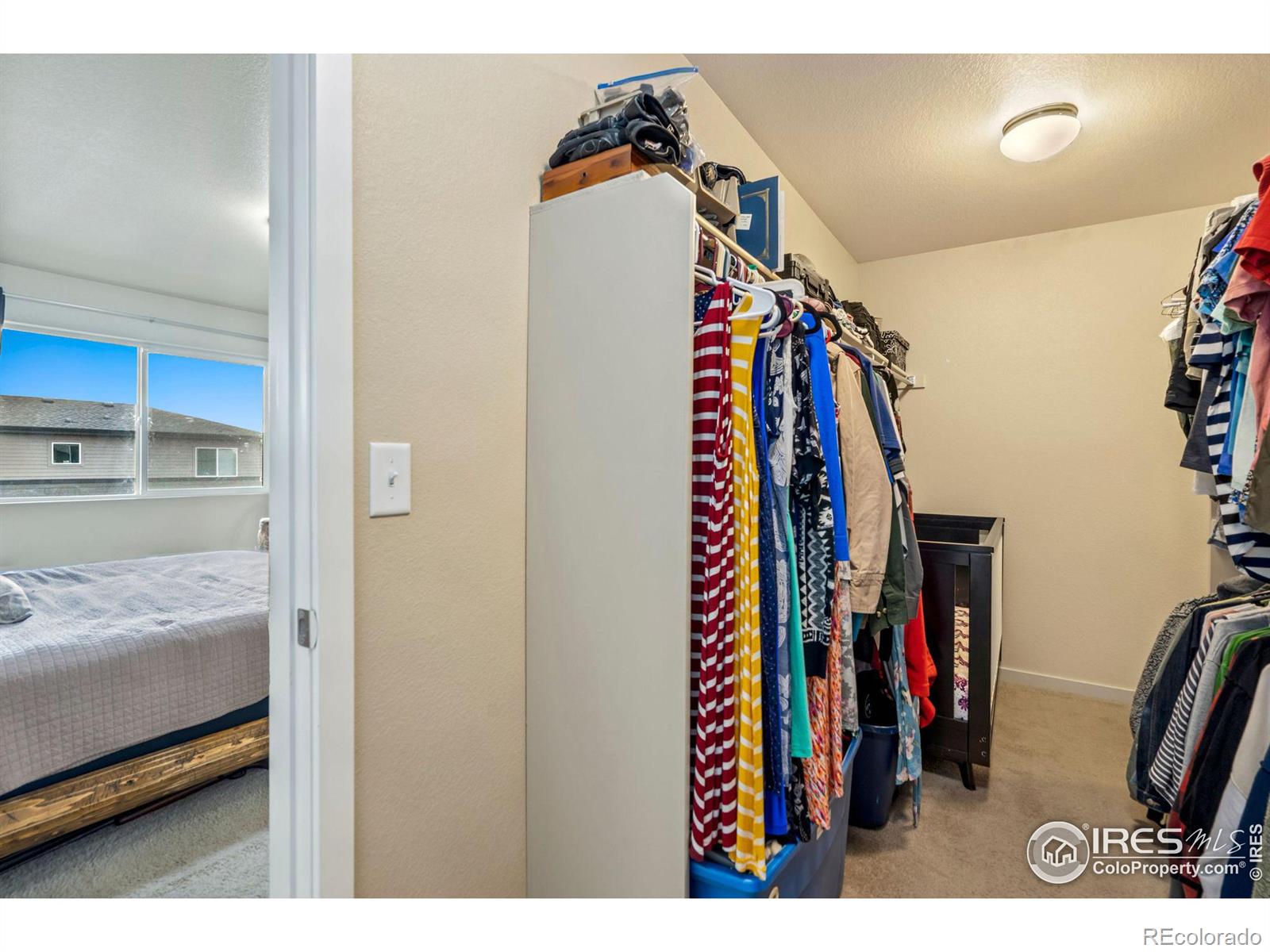 MLS Image #13 for 3859  hackberry street,wellington, Colorado