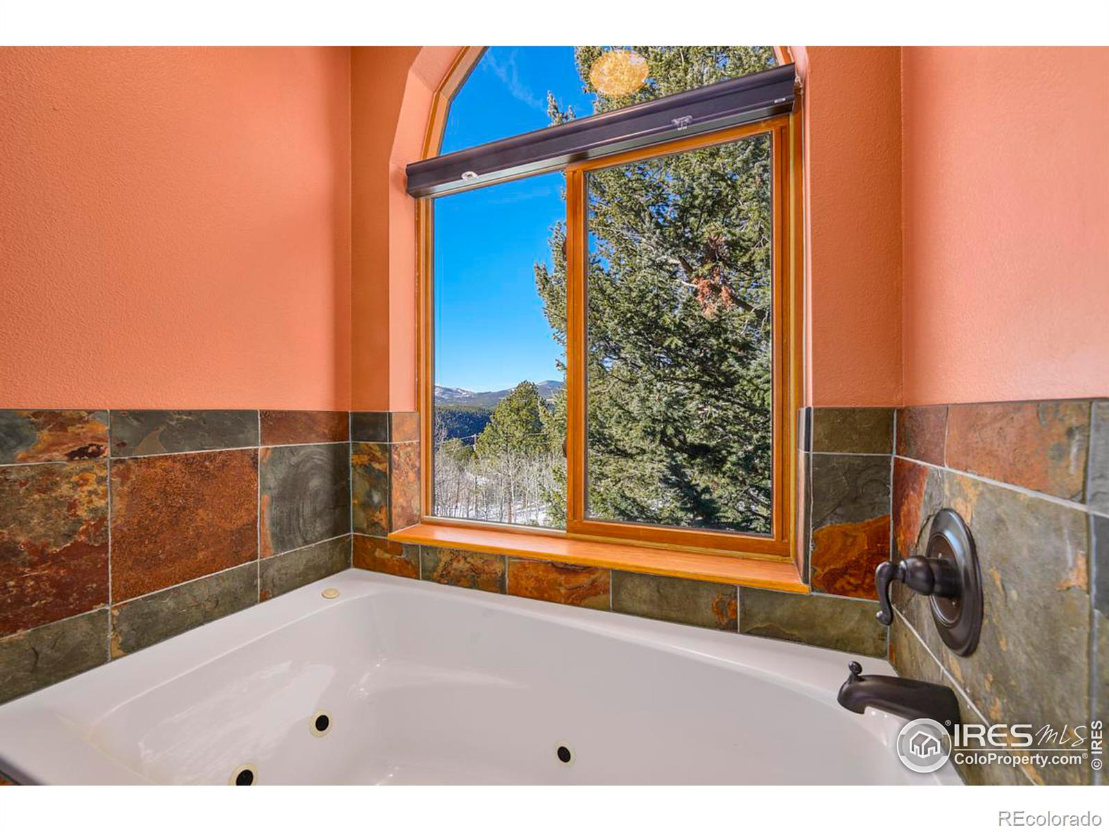 MLS Image #11 for 428  aspen lane,black hawk, Colorado