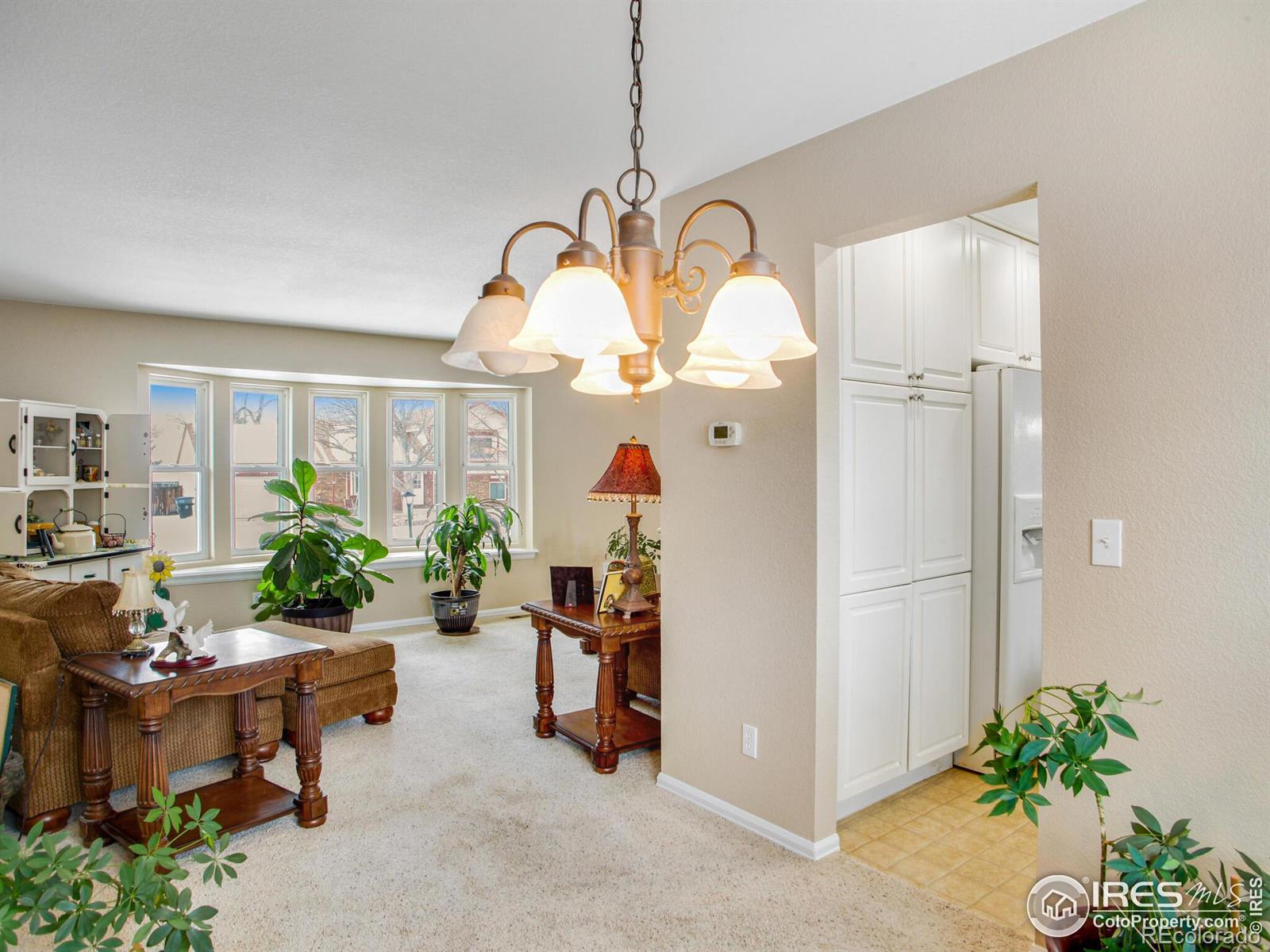 MLS Image #8 for 1735  gifford drive,longmont, Colorado