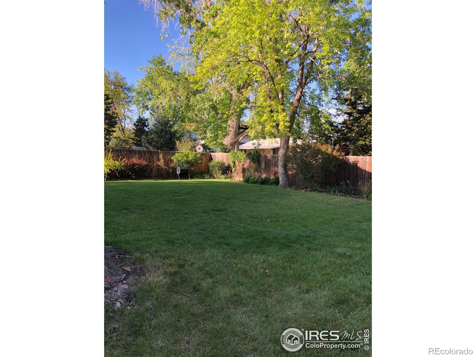 MLS Image #28 for 8462  gray court,arvada, Colorado