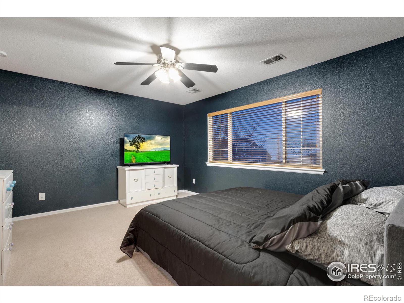 MLS Image #15 for 655  elizabeth st cir,dacono, Colorado