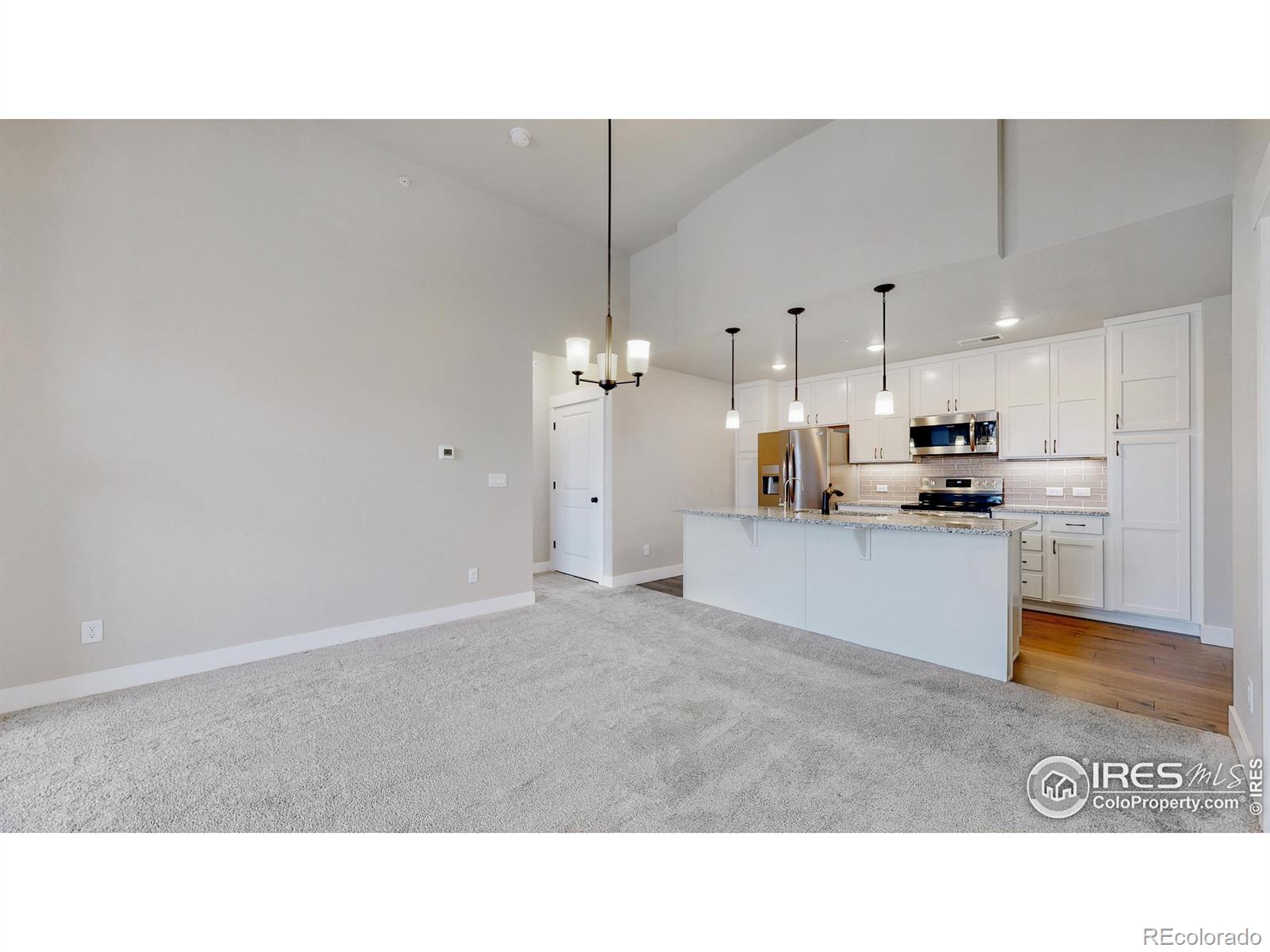 MLS Image #10 for 4612  hahns peak drive,loveland, Colorado