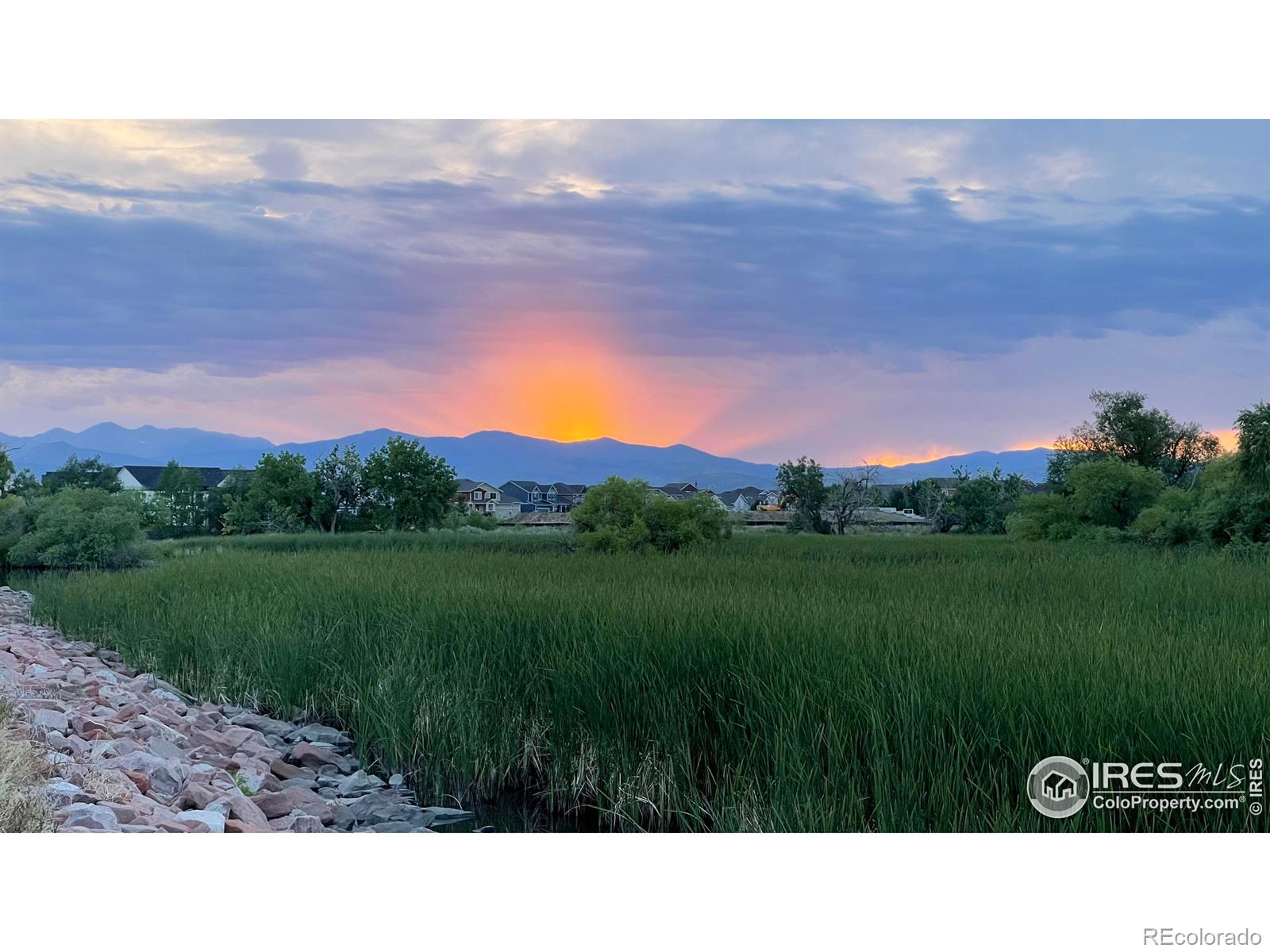 MLS Image #27 for 4612  hahns peak drive,loveland, Colorado