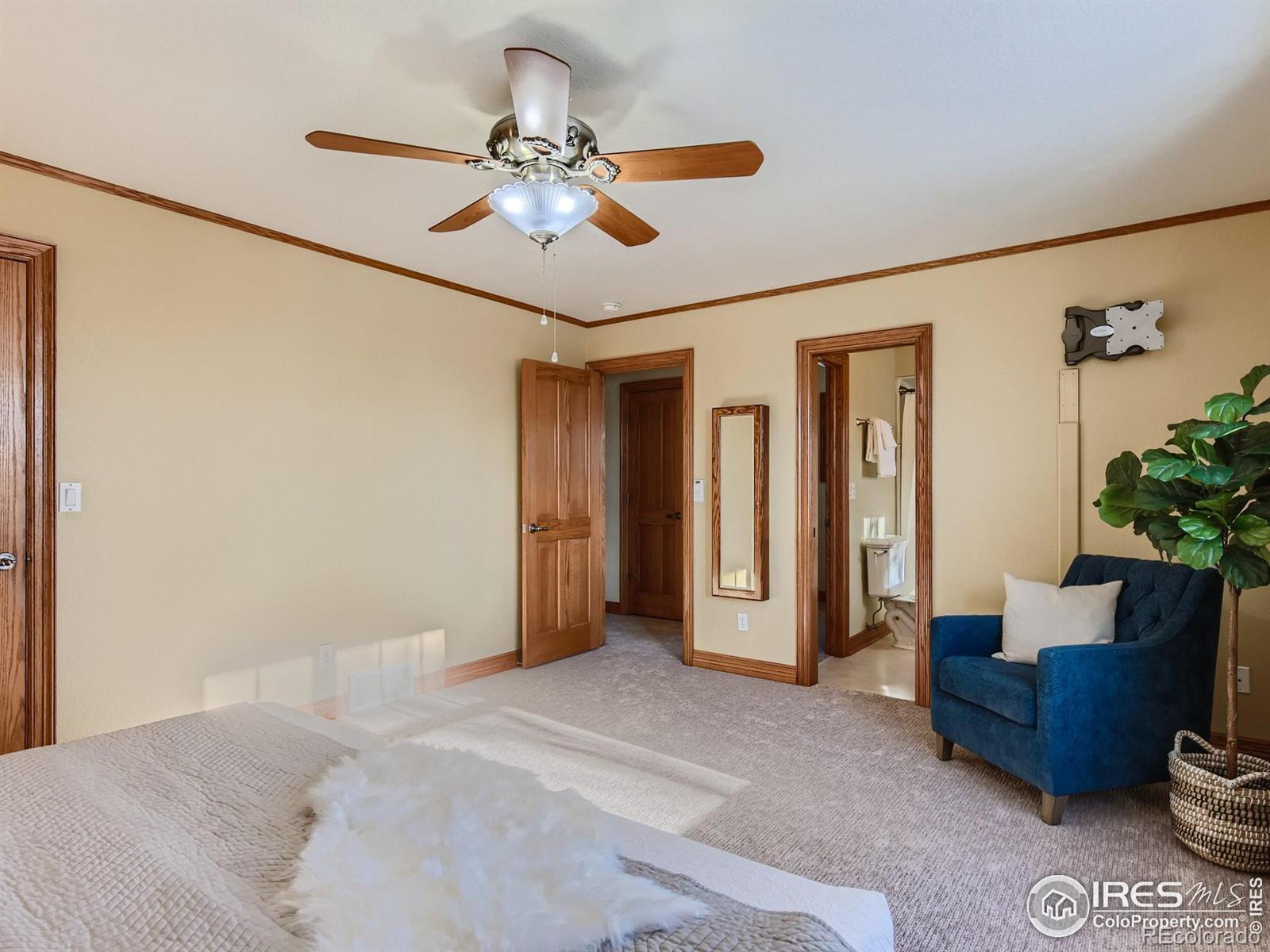 MLS Image #12 for 1120  hemlock court,windsor, Colorado