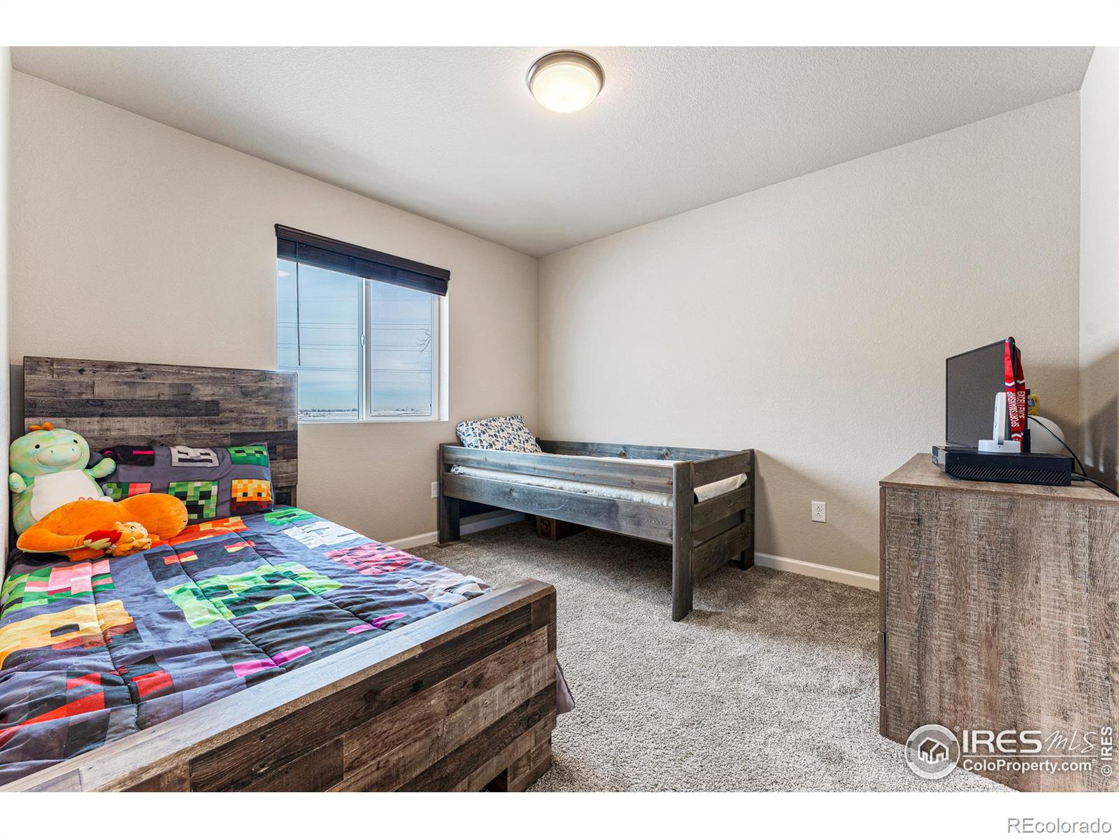 MLS Image #28 for 1218  sherman drive,dacono, Colorado