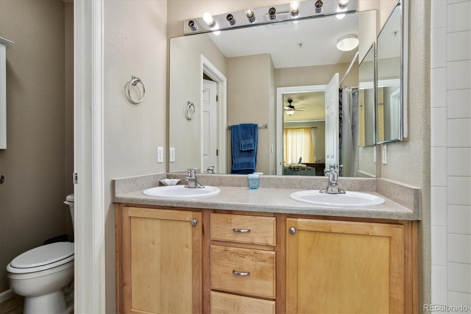 MLS Image #18 for 494  black feather loop,castle rock, Colorado