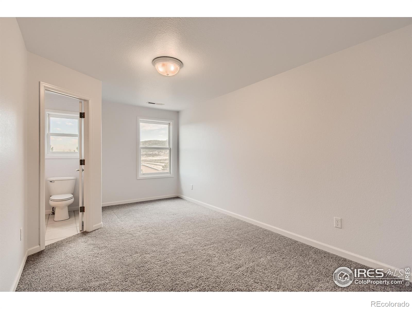 MLS Image #16 for 2931  kyle circle,loveland, Colorado