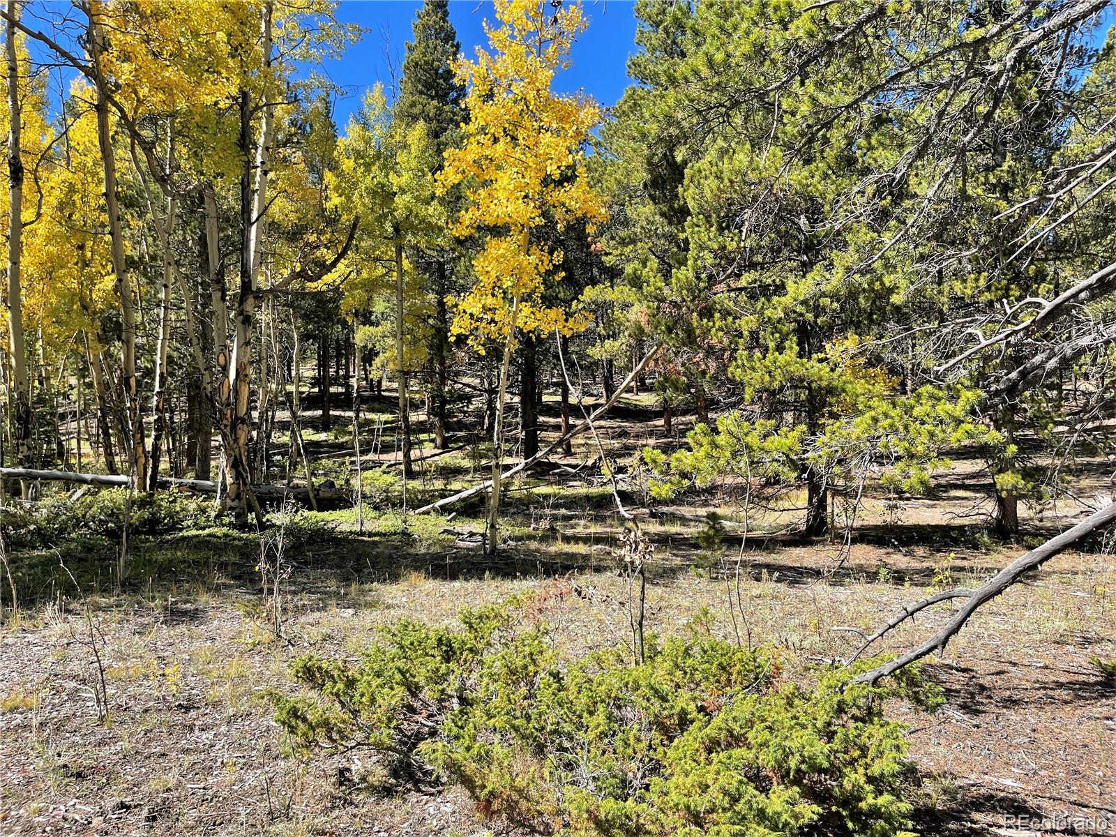 MLS Image #36 for 1900  venture road,fairplay, Colorado