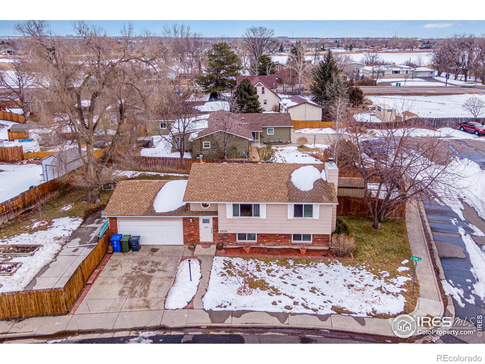 Report Image for 2938  Yew Drive,Loveland, Colorado