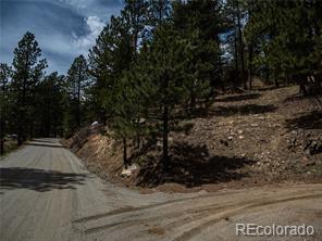 MLS Image #0 for 470  mesa drive,evergreen, Colorado